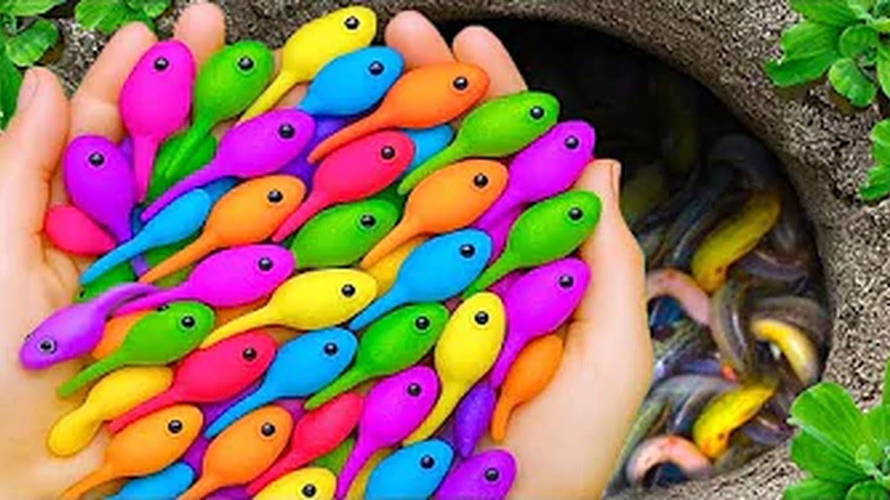 Backyard Pond Haul! HUGE Colorful Fish Surprise! 🔥🐠