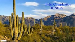 Junius Birthday Nature & Naturaleza