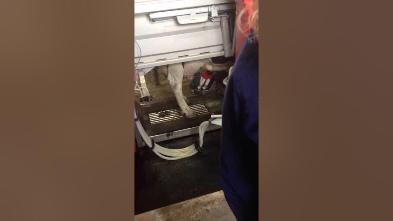Post Farm NYS FFA Convention Tour YouTube