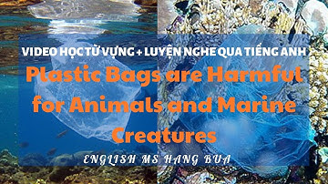 VIDEO HỌC TỪ VỰNG + LUYỆN NGHE TIẾNG ANH THEO CHỦ ĐỀ: PLASTIC BAGS | ENGLISH MS HANG BUA