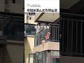 母猫が選んだ危険な道