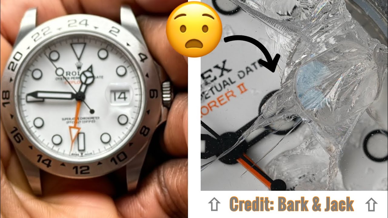 Bark & Jack Is Living My Worst Nightmare… Rolex Explorer 2