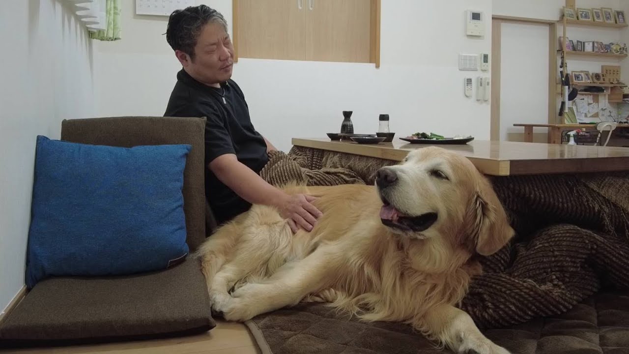 死、その先にあるもの。楽しく幸せを感じる大切さ。 【golden