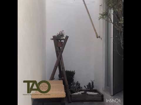 TERAPIA TAO MODENA SCARICARE