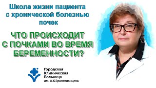 картинка: Что происходит с почками во время беременности?