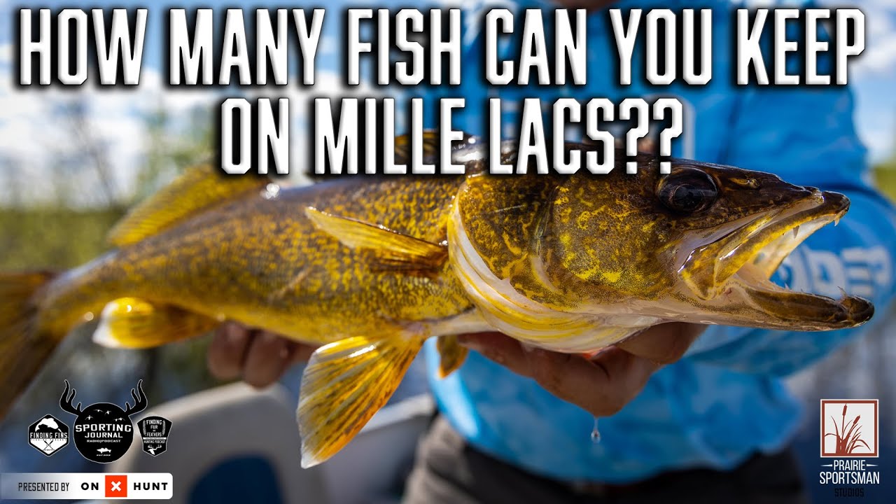 How Many Walleyes Can You Keep On Mille Lacs Now YouTube how-many-walleyes-can-you-keep-on-mille-lacs-now-youtube