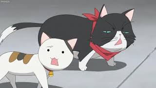 Cursed By Accidentally Destroying The Cat Shrine Episode 1-12 English Dubbed Full Screen Anime 2025