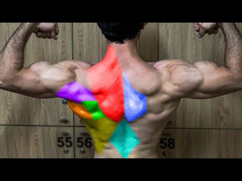 3 ვარჯიში რომელიც დაგეხმარება ზურგის კუნთების განვითარებაში