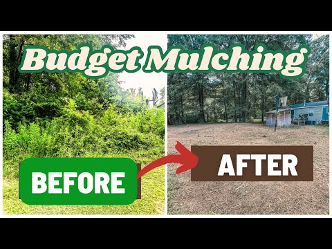 Betstco Flail Mower Takes on Overgrown Backyard by The Turf Junkies