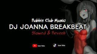 Dj Joanna wanna wanna breakbeat ( Slowed & Reverb ) Tiktok Version !