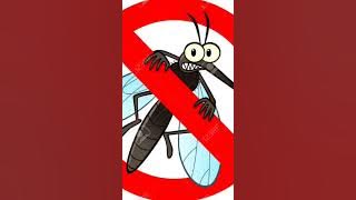 SUARA PENGUSIR NYAMUK 😁😁😁