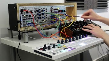 Eurorack Ambient | "Rainforest" - Moog Mother 32, Mutable Instruments Rings & Clouds, Pico Drums