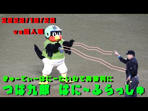 つば九郎　審判にはにーふらっしゅ！　きゅーてぃーはにーたいむ　2020/10/20　vs巨人