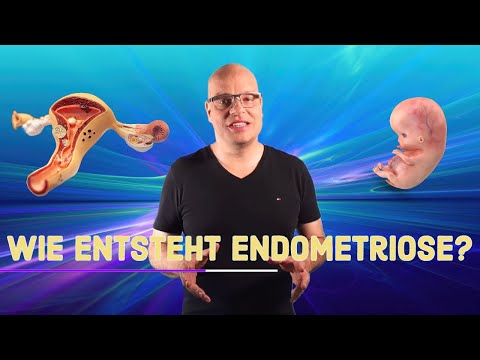 Video: Wie entsteht Endometrium?