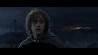 LOTR The Return of the King - Extended Edition - Pippin Looks After Merry by EgalmothOfGondolin01 538,352 views 9 years ago 53 seconds