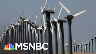 Donald Trump Transition Sets Targets  On Energy Officials | Andrea Mitchell | MSNBC