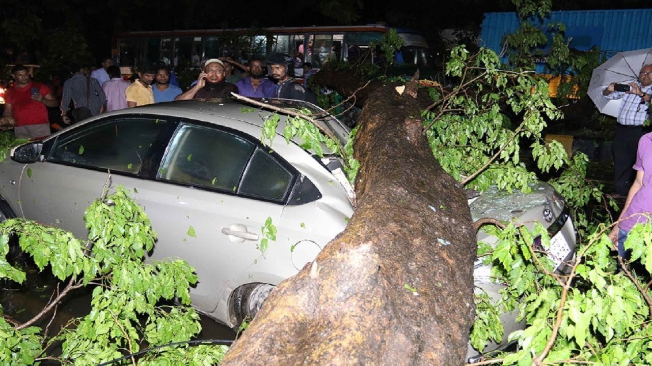 top news of the day Breaking : রাজধানীতে ঝড়ে গাছ পড়ে চ্যাপ্টা গাড়ি ও সিএনজি ! নিহত ২ ! Media news24