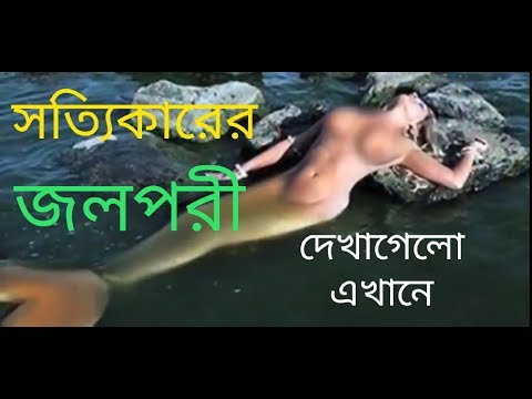 ভিডিও: Mermaids দেখতে কেমন?