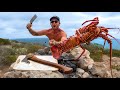 Bare handed catching lobster in rock pools  catch and cook