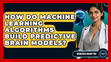 How Do Machine Learning Algorithms Build Predictive Brain Models? - Neurotech Insight Pro