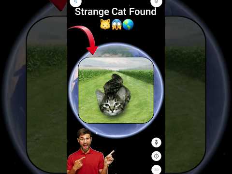 strange cat found on google maps 🐱😱🌎 | weird map | #earthsecret04 #googlemap #map #mapping #earth 🎈