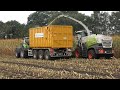 Mais hakselen door Loonbedrijf Gebr te Bokkel met Claas Jaguar 860 en Deutz-Fahr trekkers (2020)