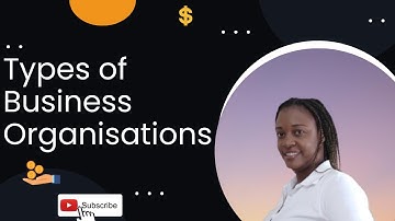 CSEC Principles of Accounts (IPA) - Types of Business Organisations