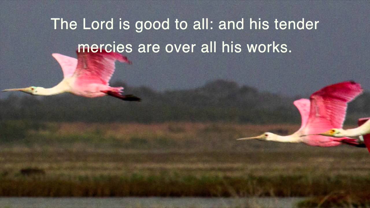 psalm-145-9-kjv-children-s-red-cycle-1-youtube