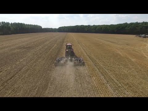 Die große Dürre - Das Fazit