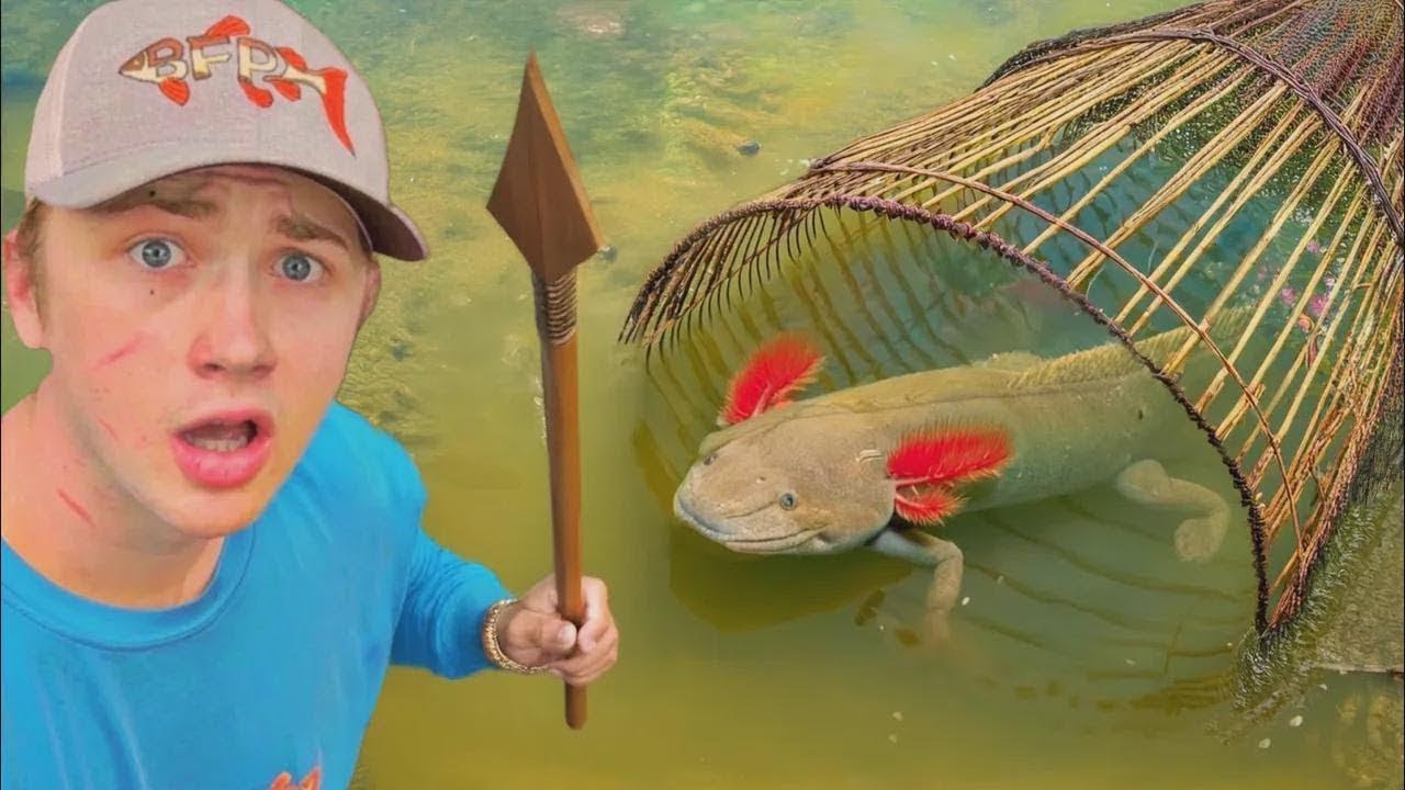 Я поймал аксолотлей в примитивную ловушку для рыбы!