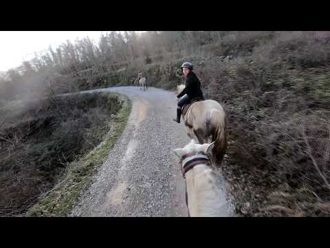 funny-horse-riding---bucking-and-bolting---gopro