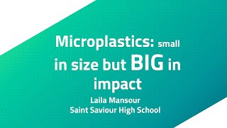 Microplastics  Small in Size but Big in Impact | NY Sun Works Youth Conference