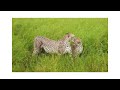 VISIT TANZANIA