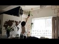 Music Playlist for enjoying life 2022