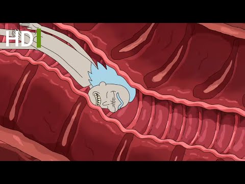 Entering bird person mind naked - Rick and Morty  Season 5 (green portal)