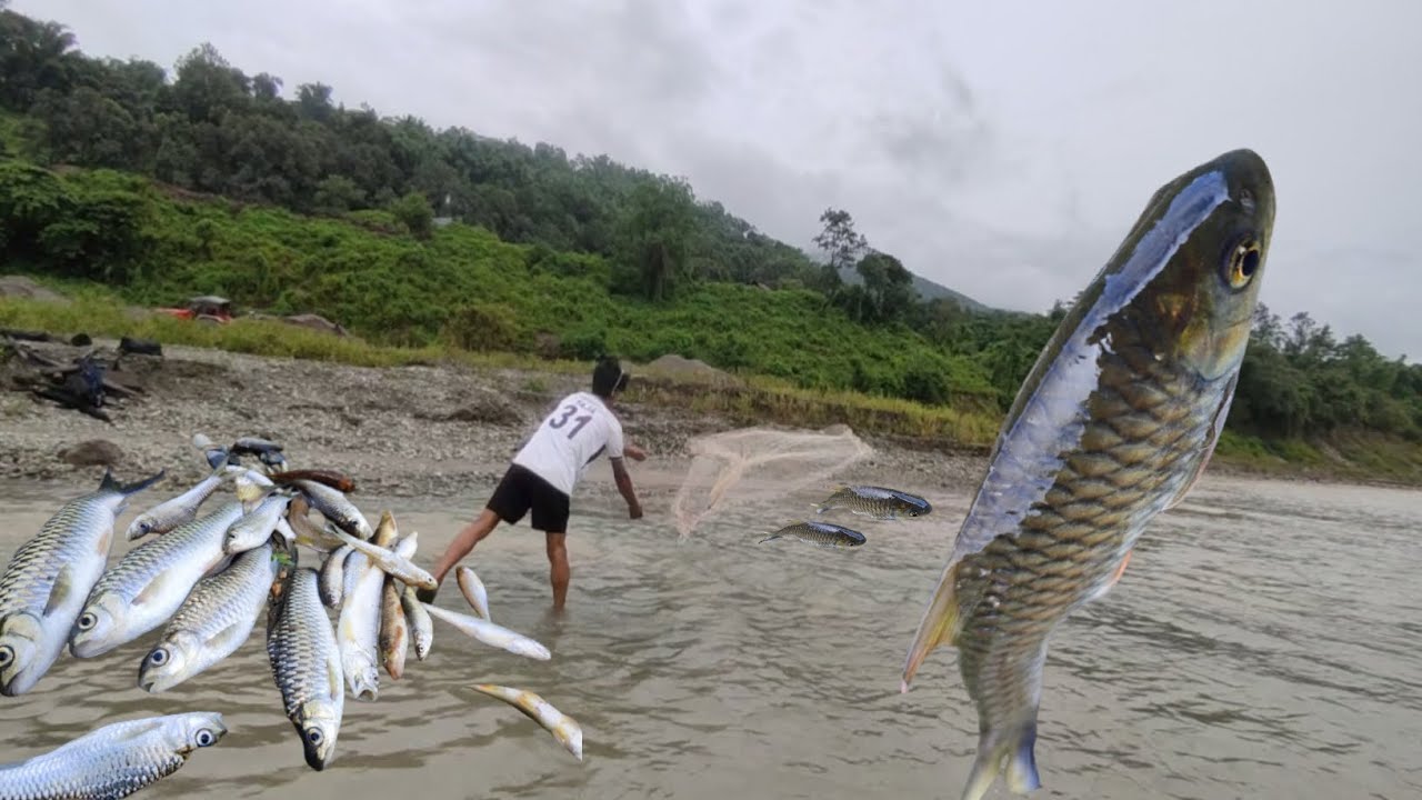 Unexpected Catch While Fishing In River || 😱Lots Of Fish 🐠🐟|| Net Fishing With Friend In River