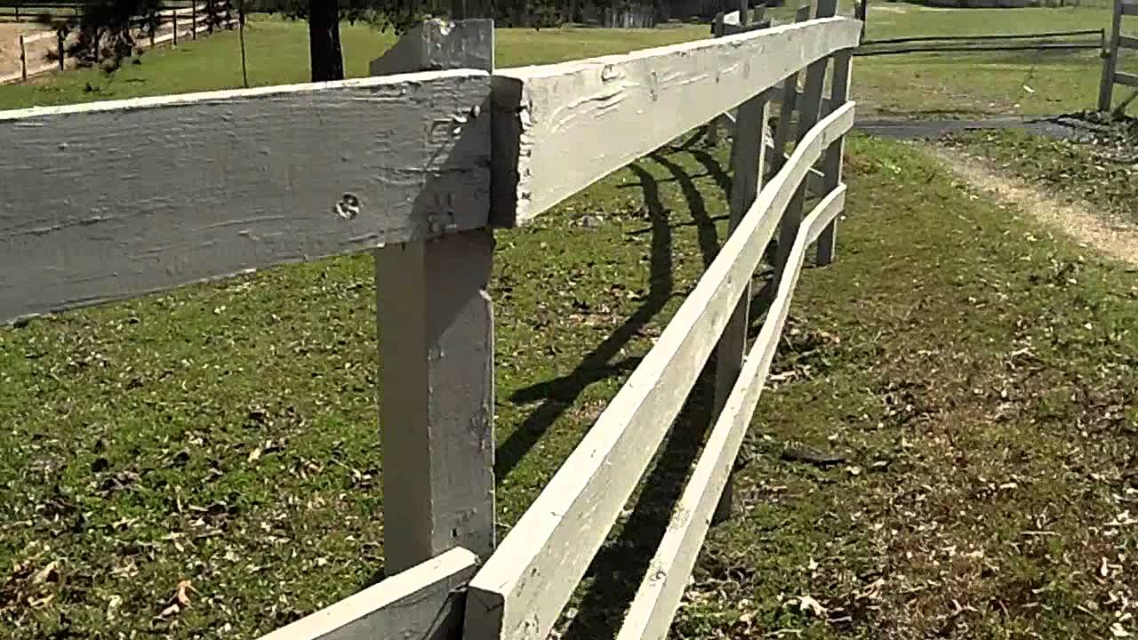 Mississippi Horse Ranch For Sale at Auction YouTube