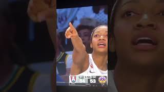 WNBA Fans are WILD