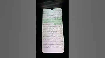 سورة التوبة الآية 14-16 سعد الغامدي
