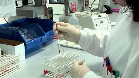 Internal Communication