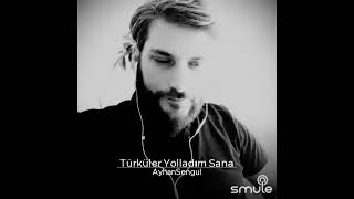 Türküler Yolladım Sana - Ayhan Şengül Resimi