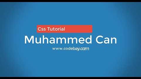 Search Box-Arama Kutusu (Html-Css)