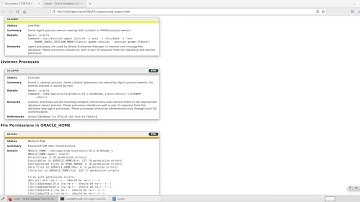 Installation & running Oracle Database Security Assessment Tool (DBSAT)