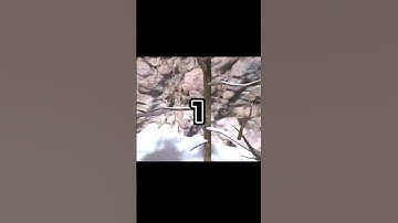 Thumbnail of The BEST Songs To Listen To While Playing Gorilla tag #gorillatagfun #vr #gorillatag #funny
