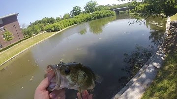 Field tests #3  stanley sidewinder worm