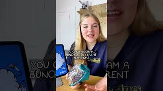 Testing Textbook Neuroscience with SpikerBot