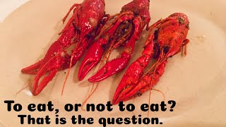 “The Original Benjamin’s Calabash Seafood” Buffet Myrtle Beach
