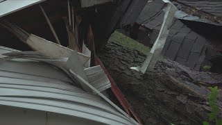 Tree collapses on Peoria home
