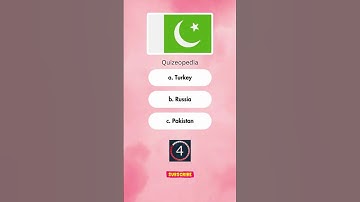 Guess The Flag Part 8 #shorts #youtubeshorts #shortvideo #flagquiz #reels #foryou