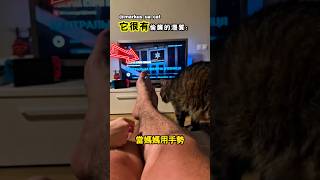 貓咪在咬爸爸前的心理活動